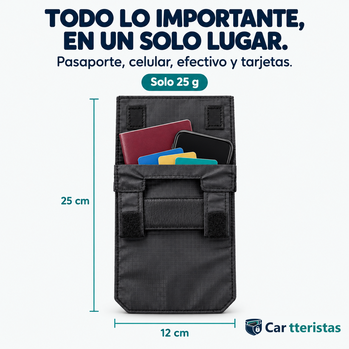 Car tteristas con pasaporte, celular y tarjetas